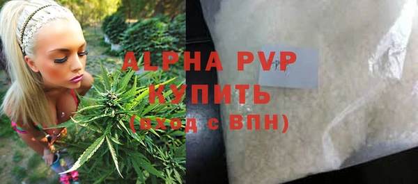 СК Зеленокумск